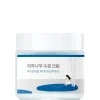 Round Lab Birch Juice Moisturizing Cream